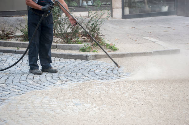 Best Rust Removal  in Murphysboro, IL