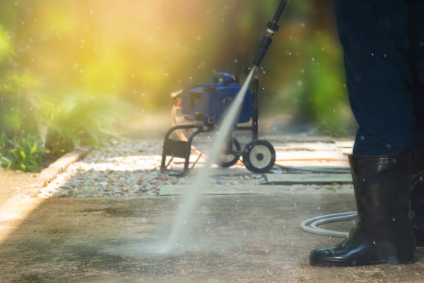 Best Animal Enclosure Cleaning  in Murphysboro, IL